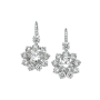 Diamond Earrings Diamond Earrings