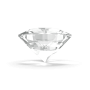 Diamond Cut Diamond Cut